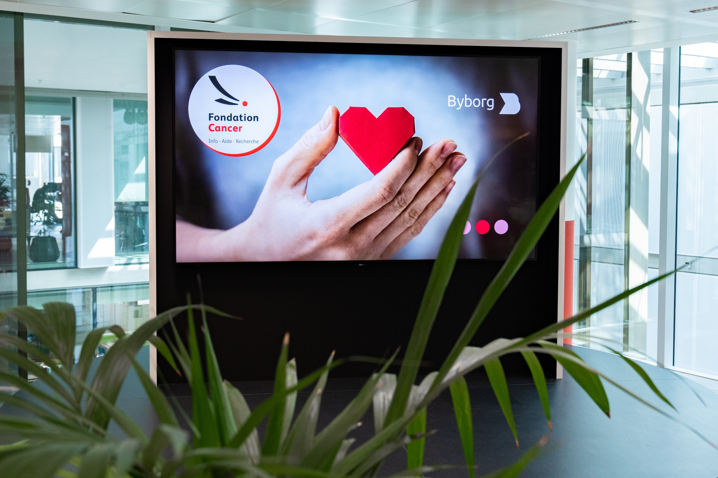 Foundation Cancer Luxembourg.